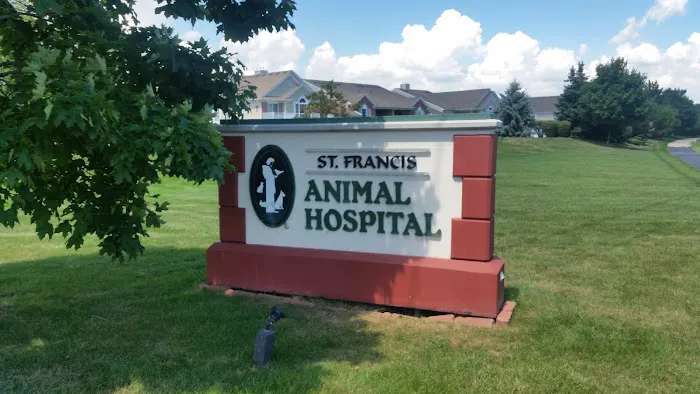 St Francis Animal Hospital 12