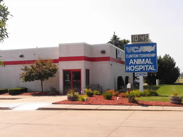 VCA Clinton Township Animal Hospital 2