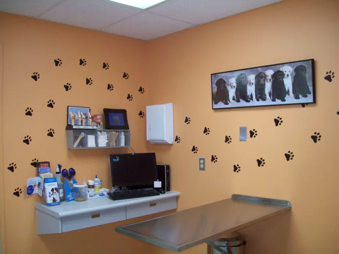 VCA Clinton Township Animal Hospital 9