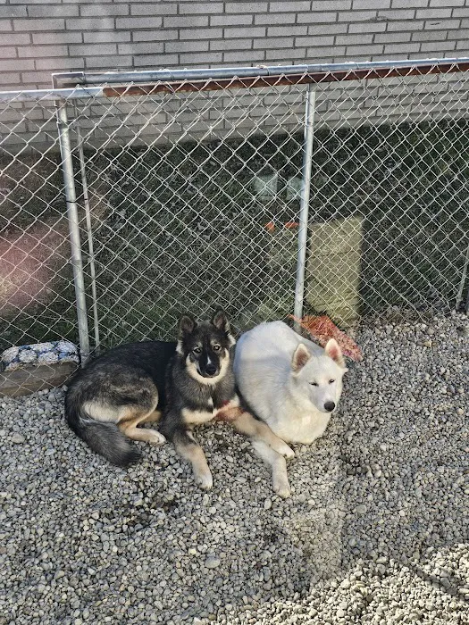 VCA Clinton Township Animal Hospital 10