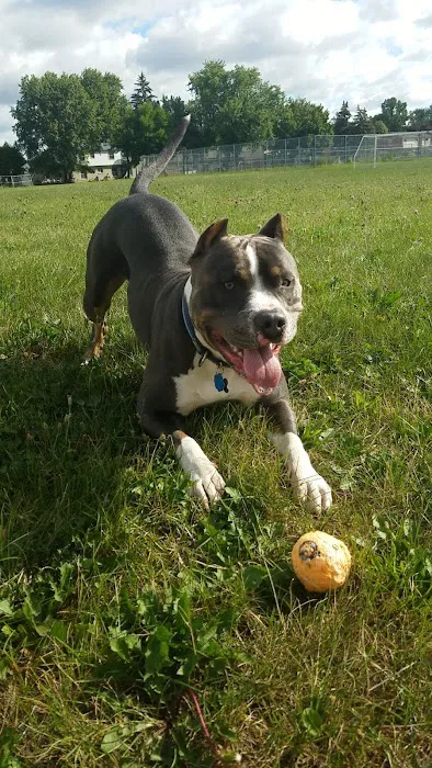 Snider Veterinary Services 8