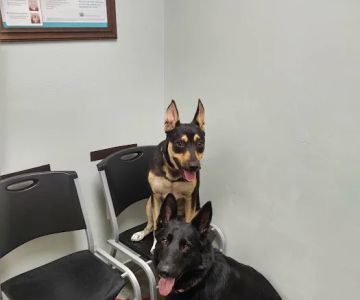 Snider Veterinary Services