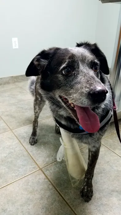 Snider Veterinary Services 3