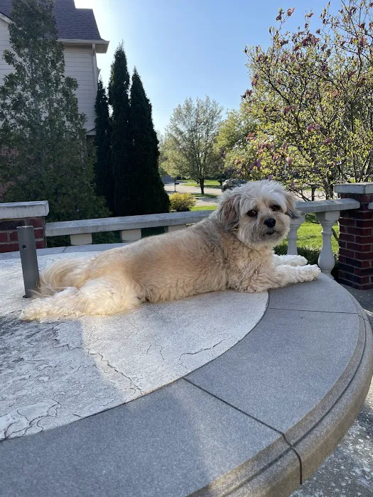Snider Veterinary Services 6