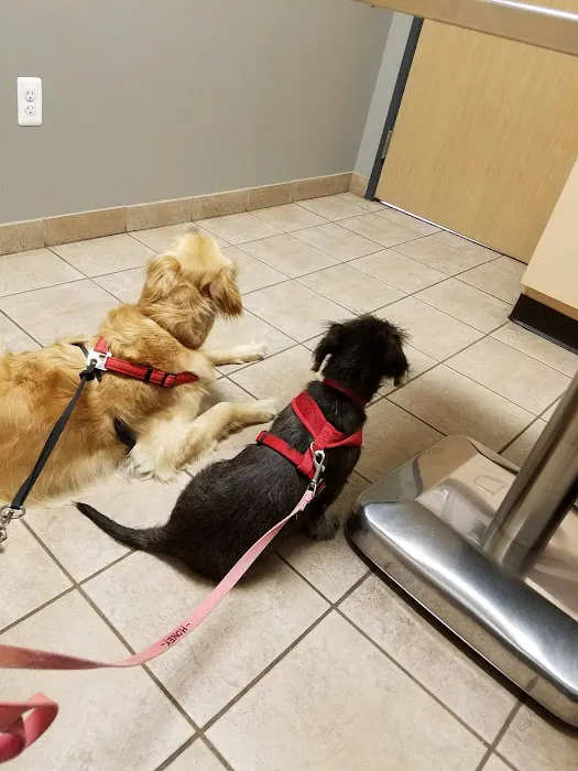 Parkway Small Animal & Exotic Hospital 7