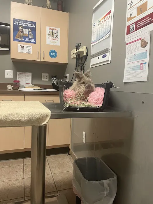 Parkway Small Animal & Exotic Hospital 10