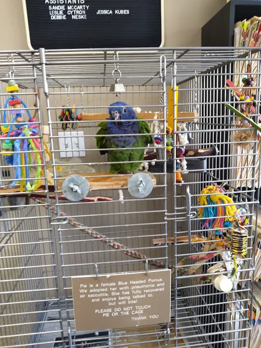 Bird Medicine & Surgery 6