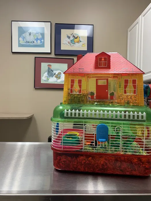 Kersting Veterinary Hospital and Bird Medicine and Surgery 4