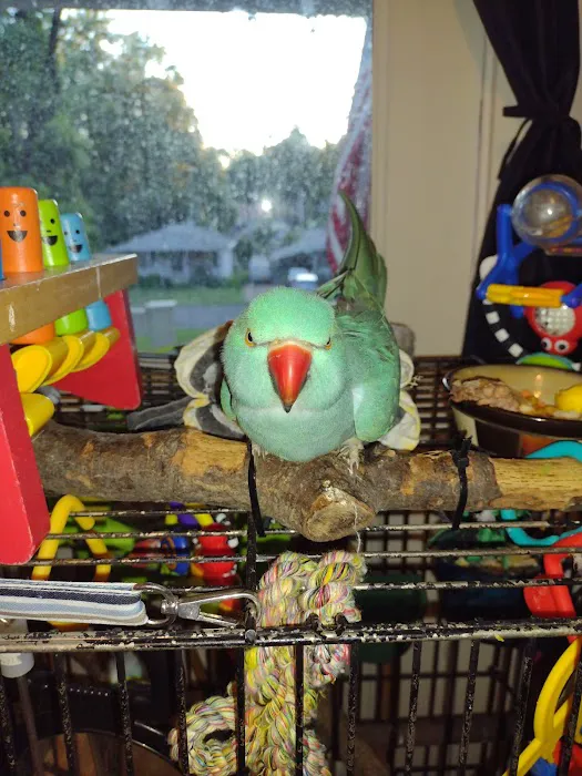 Kersting Veterinary Hospital and Bird Medicine and Surgery 9