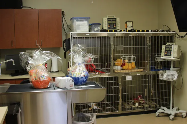 Heritage Veterinary Hospital 6