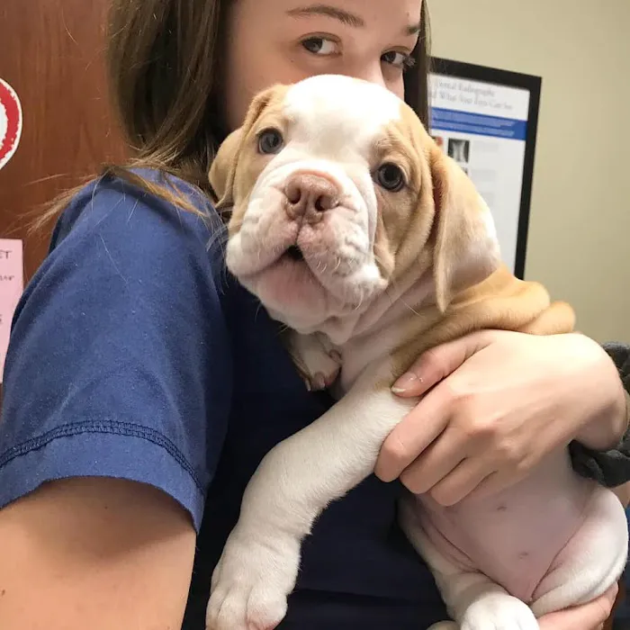 Heritage Veterinary Hospital 9