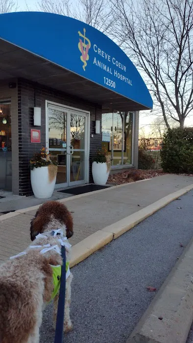 Creve Coeur Animal Hospital 6