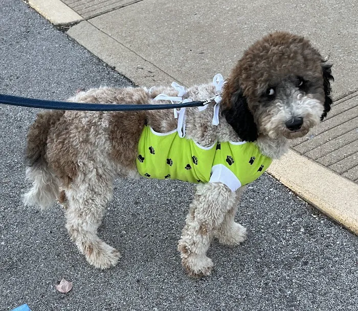 Creve Coeur Animal Hospital 7