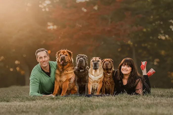 Creve Coeur Animal Hospital 2