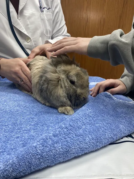 Creve Coeur Animal Hospital 5