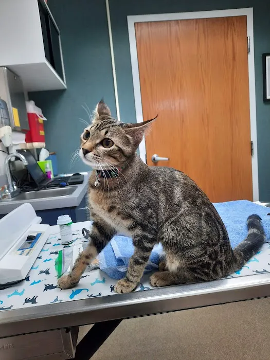 Creve Coeur Animal Hospital 8