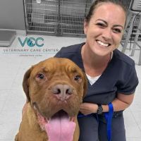 Veterinary Care Center- Urgent & Wellness Care ico