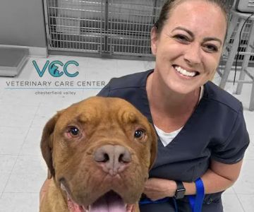 Veterinary Care Center- Urgent & Wellness Care