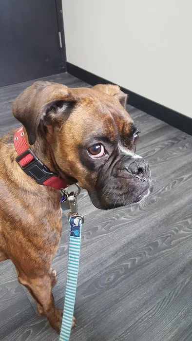 Veterinary Care Center- Urgent & Wellness Care 5