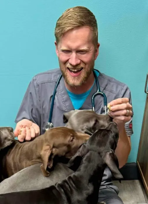 Veterinary Care Center- Urgent & Wellness Care 2