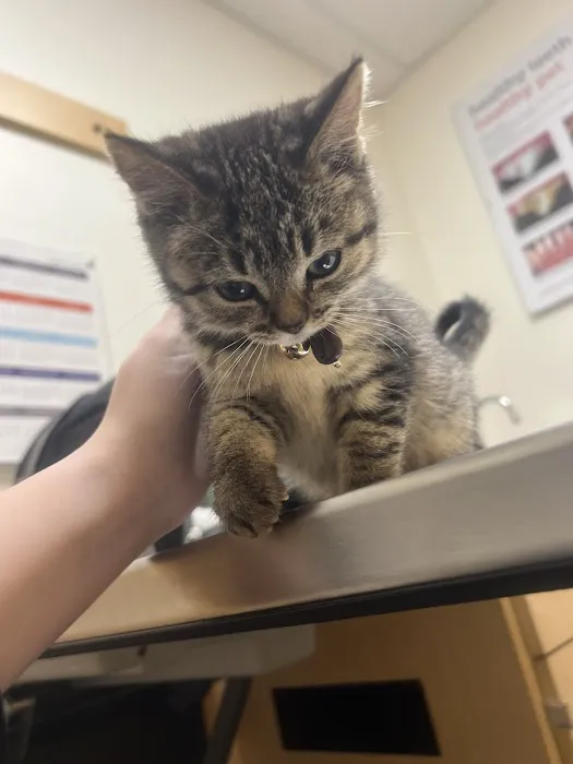 Banfield Pet Hospital 12