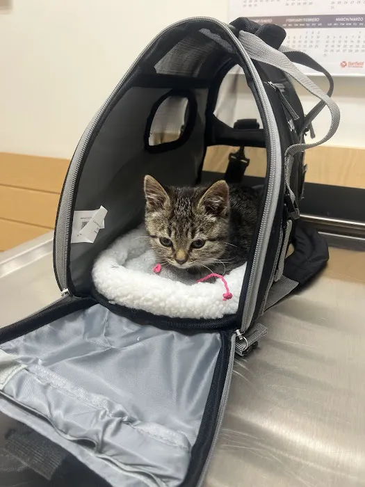 Banfield Pet Hospital 12