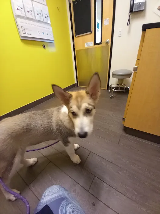 Banfield Pet Hospital 4