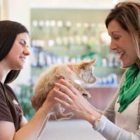 Town and Country Veterinary Hospital ico