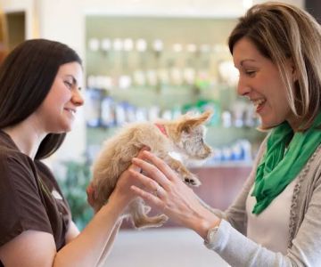 Town and Country Veterinary Hospital