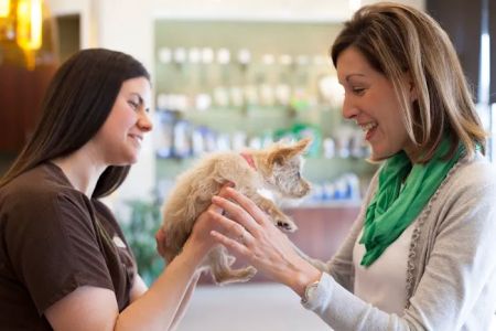 Town and Country Veterinary Hospital