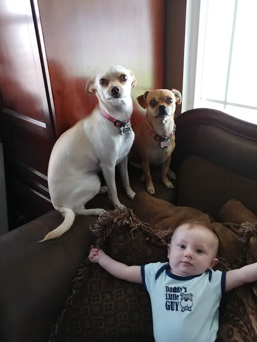 Banfield Pet Hospital 4