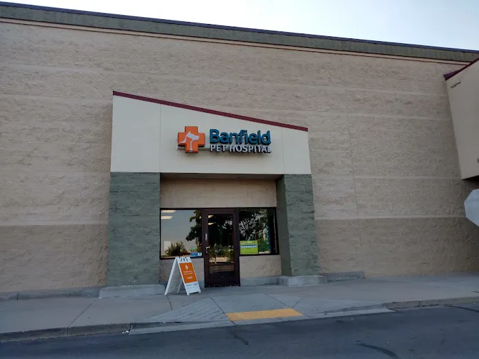 Banfield Pet Hospital 9