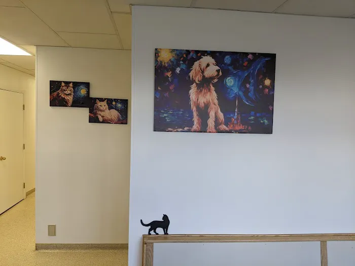 Town and Country Veterinary Hospital 1