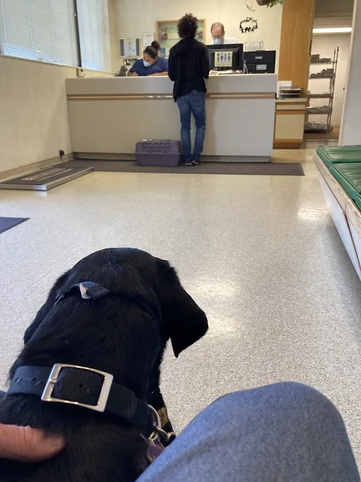 Town and Country Veterinary Hospital 5