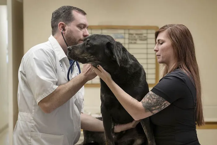 Town and Country Veterinary Hospital 3