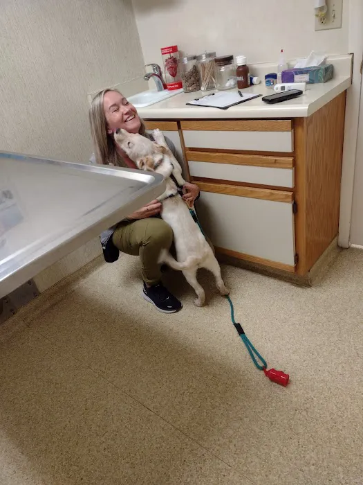 Town and Country Veterinary Hospital 6