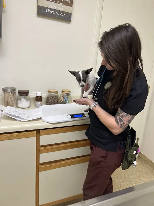 Town and Country Veterinary Hospital 8