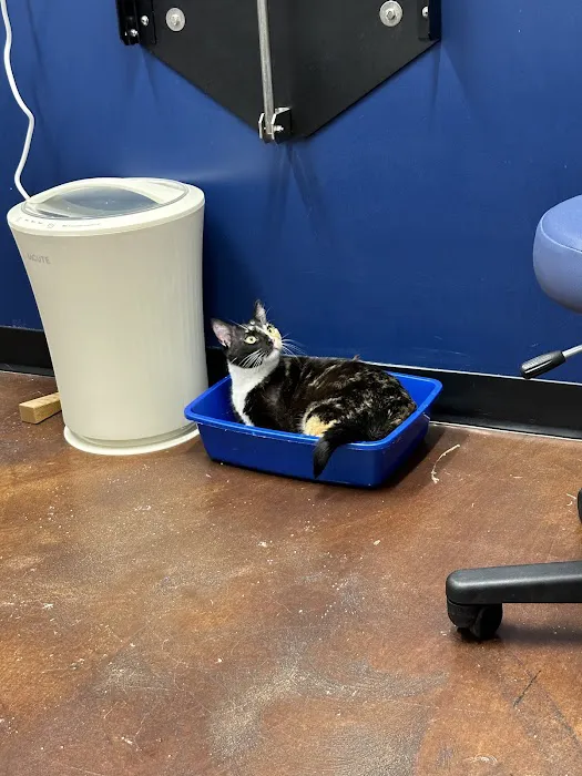 Highland Park Pet Hospital 6
