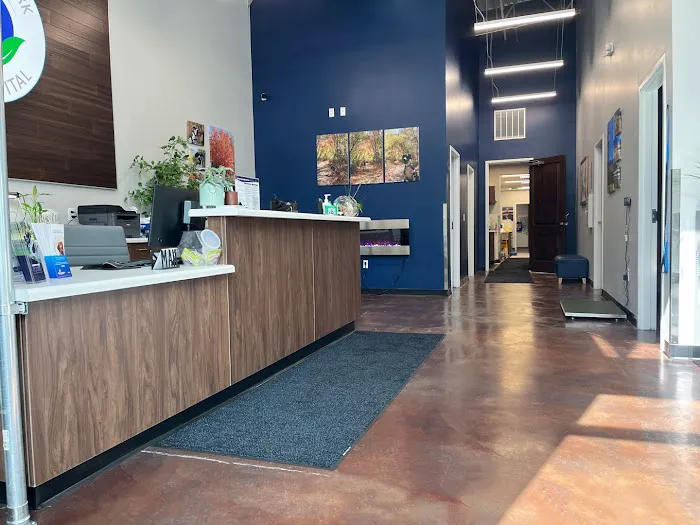 Highland Park Pet Hospital 10