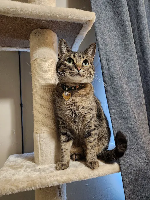 Sugar House Veterinary Wellness Center 12