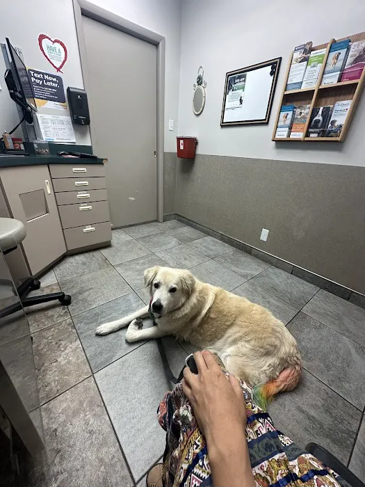 Sugar House Veterinary Wellness Center 12