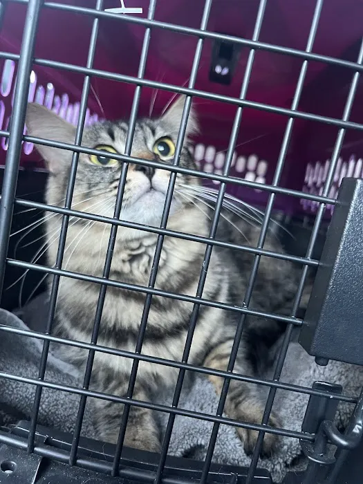 Vetco Total Care Animal Hospital 6