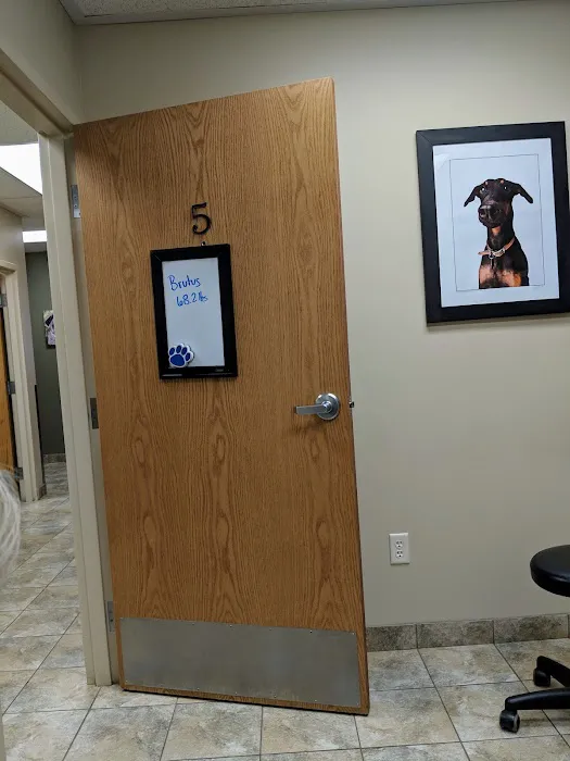 Dermatology for Animals - Salt Lake City 7
