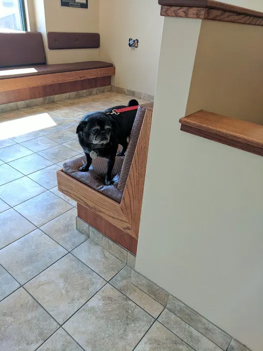 Dermatology for Animals - Salt Lake City 5