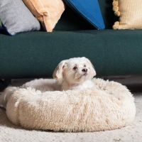 Eye Care for Animals - Salt Lake City ico