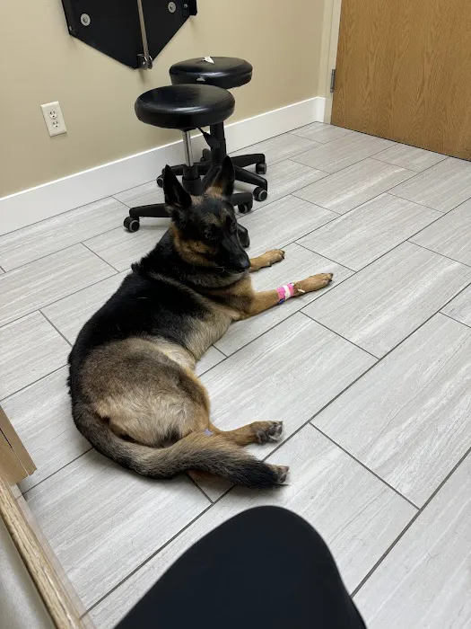 Advanced Veterinary Care, A Thrive Pet Healthcare Partner 3