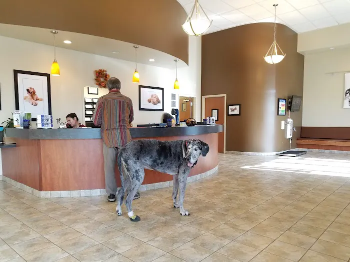Advanced Veterinary Care, A Thrive Pet Healthcare Partner 1