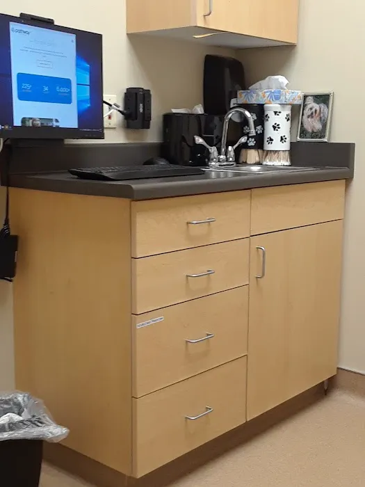Advanced Veterinary Care, A Thrive Pet Healthcare Partner 8