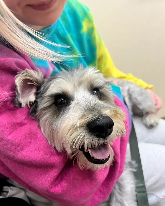 Las Vegas Veterinary Specialty Center 6