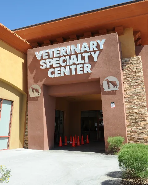 Las Vegas Veterinary Specialty Center 2